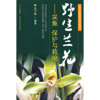 野生兰花--采集、保护与栽培