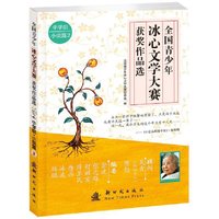 全国青少年冰心文学大赛获奖作品选（中学组·小说篇2）