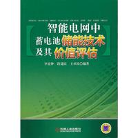 智能电网中蓄电池储能技术及其价值评估