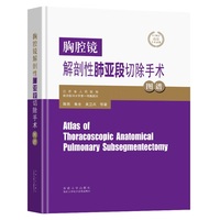 胸腔镜解剖性肺亚段切除手术图谱