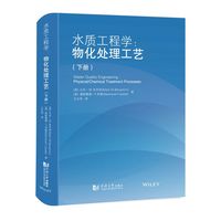 水质工程学：物化处理工艺（下册）
