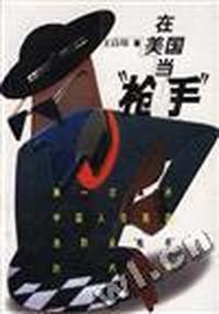 在美国当