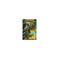 蜜蜂公主