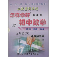 创维素质教学监测丛书 怎样学好初中数学(新课标,B)9年级.下