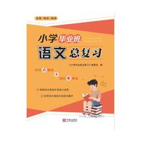 小学毕业班语文总复习