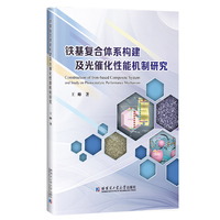 铁基复合体系构建及光催化性能机制研究