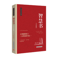 智慧书-青春典藏版