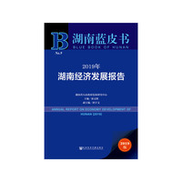 湖南蓝皮书：2019年湖南经济发展报告