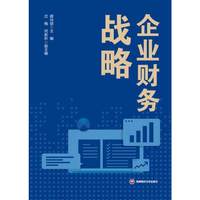 企业财务战略