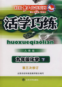活学巧练·人教版：九年级化学（下）（第三次修订）