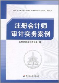 注册会计师审记实务案例