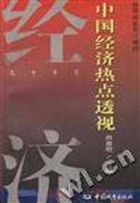 中国经济热点透视