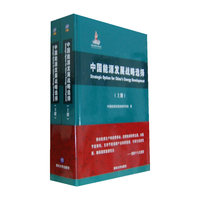 中国能源发展战略选择-(全书上.下两册)