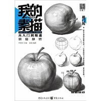 我的素描(从入门到精通明暗静物)