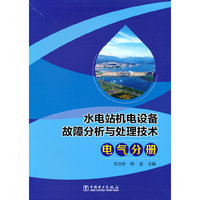 水电站机电设备故障分析与处理技术 电气分册