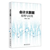 会计大数据原理与应用