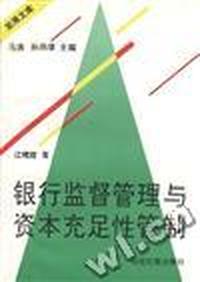 银行监督管理与资本充足性管制
