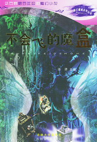 不会飞的魔盒——异幻魔城系列丛书