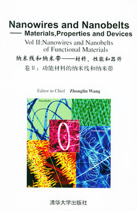 纳米线和纳米带——材料，性能和器件（卷II，功能材料的纳米线和纳米带）