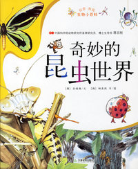 探索·发现生物小百科：奇妙的昆虫世界