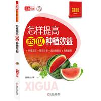怎样提高西瓜种植效益 苗锦山