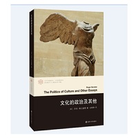 文化的政治及其他(当代学术棱镜译丛）