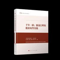 千年一跃：独龙江畔的脱贫攻坚实践（中国脱贫攻坚典型案例丛书）