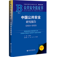 公共安全蓝皮书：中国公共安全研究报告（2024~2025）