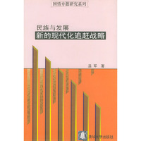 民族与发展：新的现代化追赶战略（国情专题研究系列）