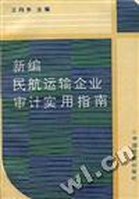 新编民航运输企业审计实用指南
