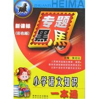 专题黑马-小学语文知识一本通(新课标彩色版)