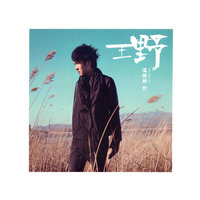 王野 温暖如野(CD)