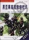 黑豆果高效栽培技术