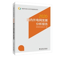 能源与电力分析年度报告系列 2020 国内外电网发展分析报告