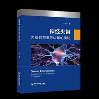 神经夹带：大脑的节奏与认知的奥秘