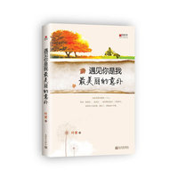 遇见你是我最美丽的意外
