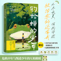 钓蛤蟆的少年