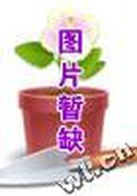 2004年普通高等学校招生全国统一考试化学科