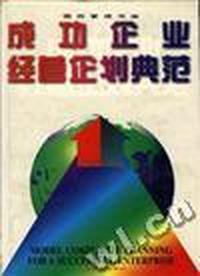 成功企业经营企划典范