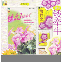 花花世界1 梦幻矮牵牛