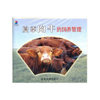 夏季肉牛的饲养管理