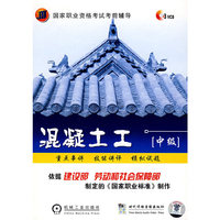 混凝土工（中级）（3VCD）