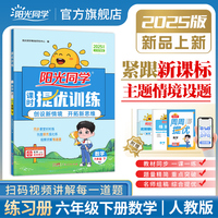2025春阳光同学提优训练六年级数学人教版6年级下册小学数学教材同步课堂练习册题作业本