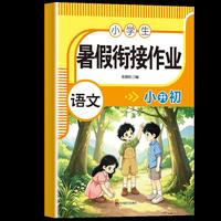 暑假衔接作业语文小升初
