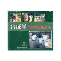 育成羊饲养管理新技术