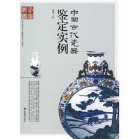 中国古代瓷器鉴定实例(中国古代文玩鉴定实例丛书)