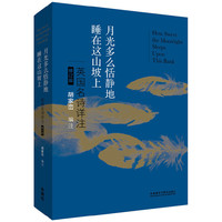 月光多么恬静地睡在这山坡上-英国名师诗详注-修订版