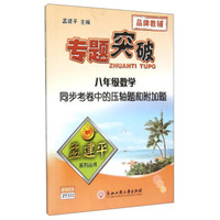 孟建平系列丛书·专题突破：八年级数学同步考卷中的压轴题和附加题