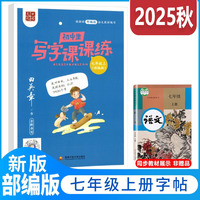 2025秋田英章初中生写字课课练七年级上册教材同步字帖生字描红规范写字练习册