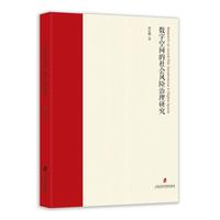 数字空间的社会风险治理研究